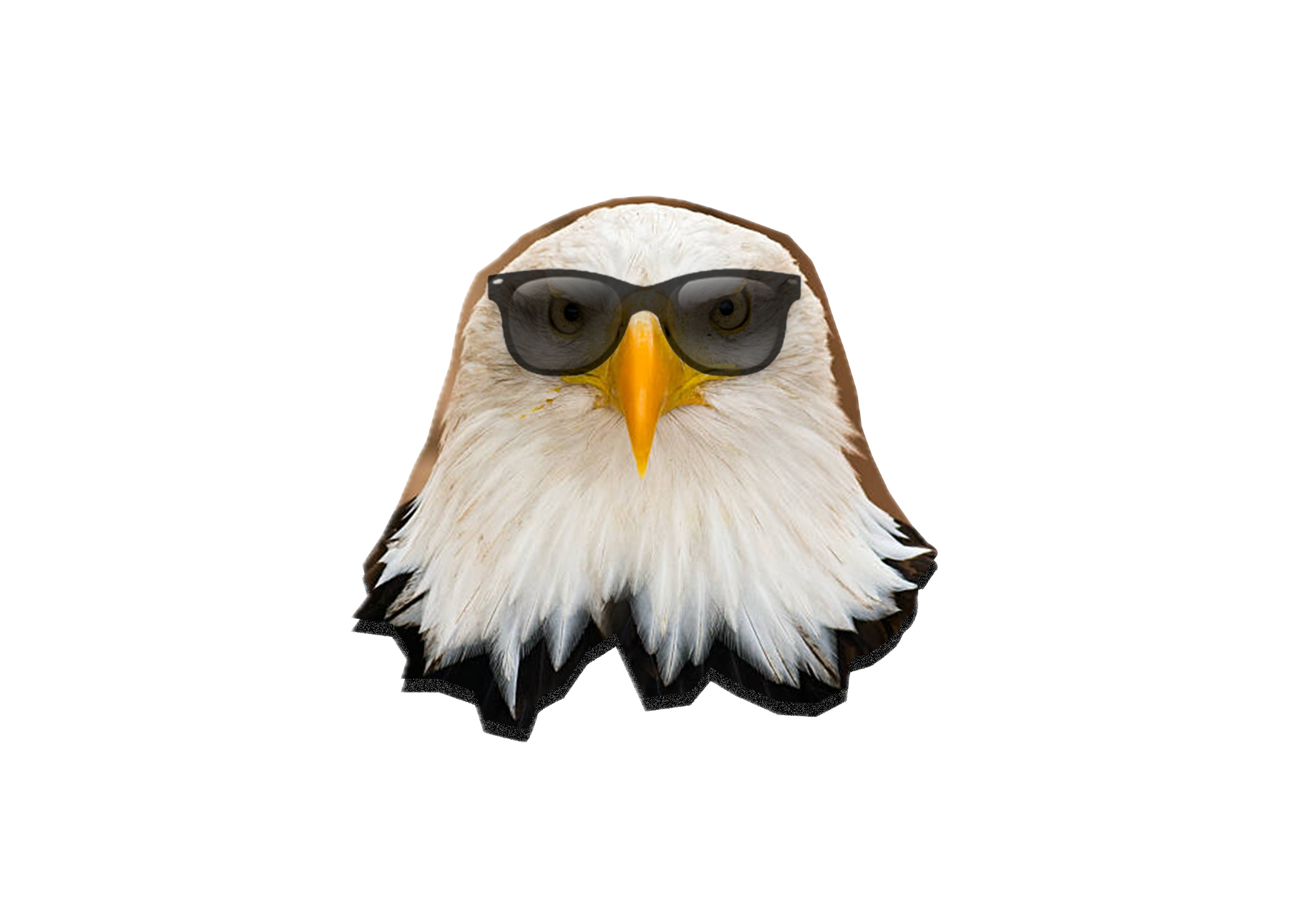 Avi the Eagle